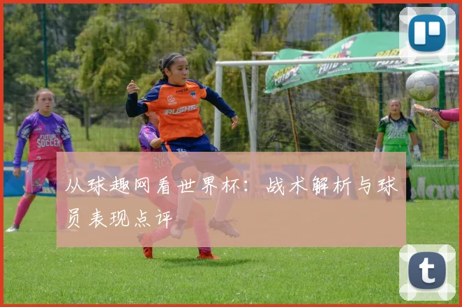 从球趣网看世界杯：战术解析与球员表现点评
