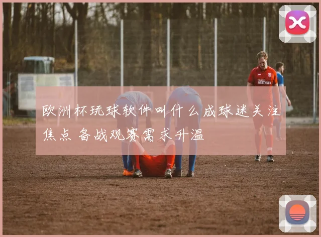 欧洲杯玩球软件叫什么成球迷关注焦点 备战观赛需求升温