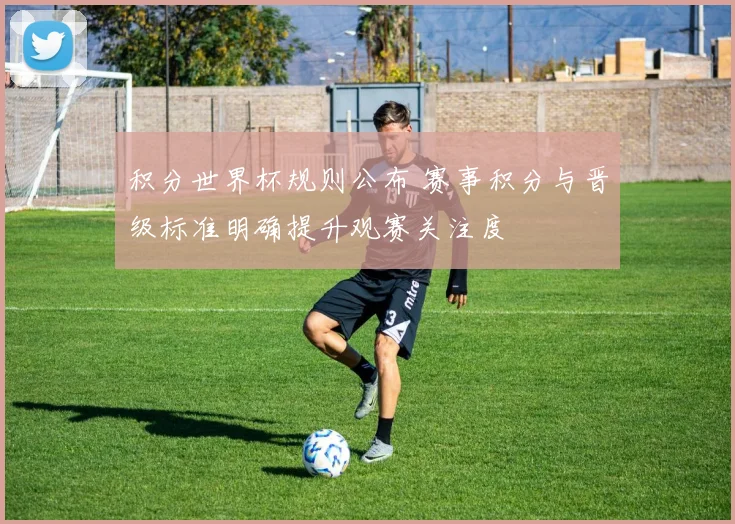 积分世界杯规则公布 赛事积分与晋级标准明确提升观赛关注度