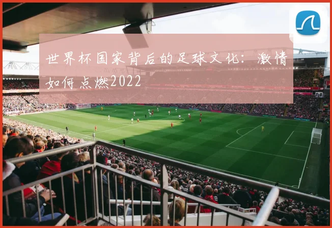 世界杯国家背后的足球文化：激情如何点燃2022