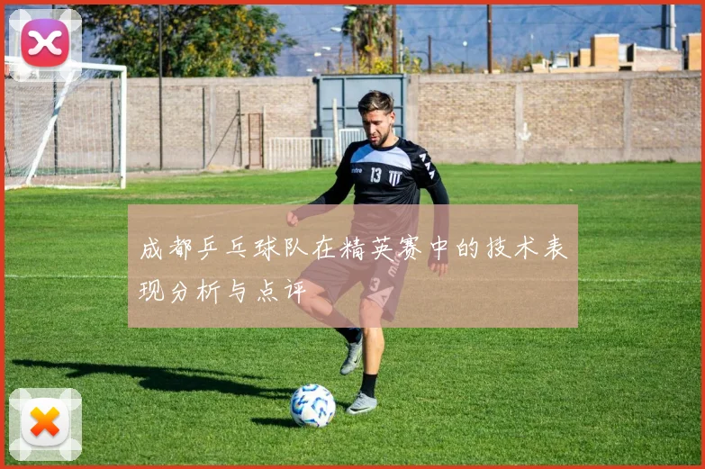 成都乒乓球队在精英赛中的技术表现分析与点评