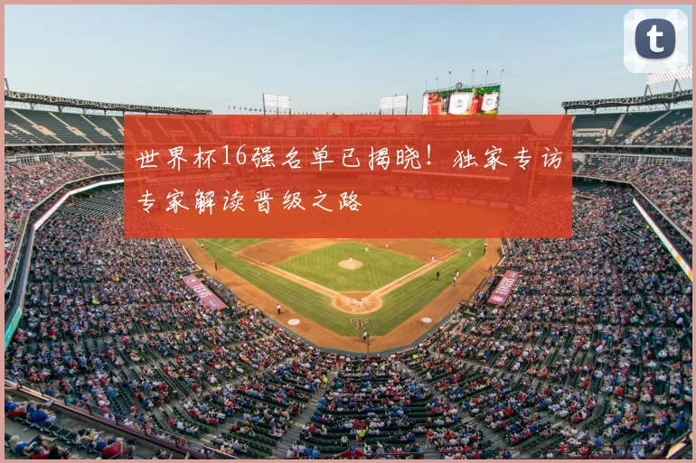 世界杯16强名单已揭晓！独家专访专家解读晋级之路