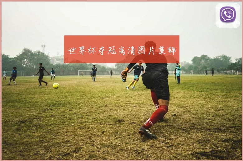 世界杯夺冠高清图片集锦